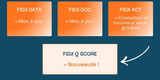 Bureau Institut FIDJI